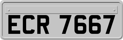 ECR7667
