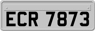 ECR7873