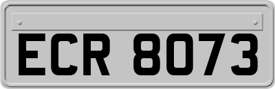 ECR8073