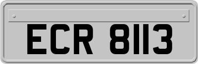 ECR8113