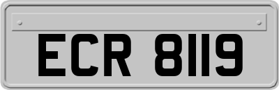 ECR8119