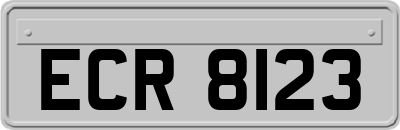 ECR8123