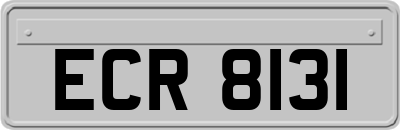 ECR8131