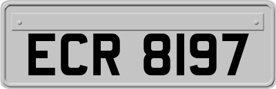 ECR8197