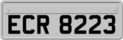 ECR8223