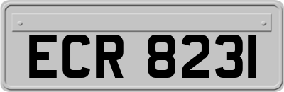 ECR8231