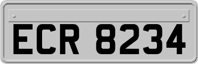 ECR8234