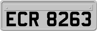 ECR8263