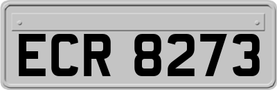 ECR8273