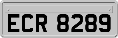 ECR8289