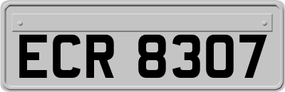 ECR8307