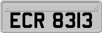 ECR8313