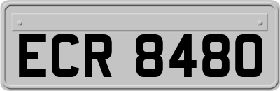 ECR8480
