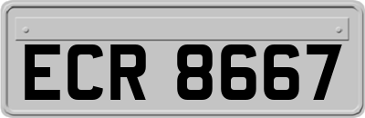 ECR8667