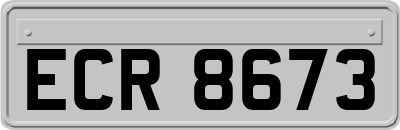 ECR8673