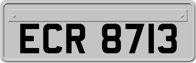 ECR8713