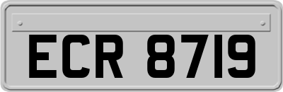 ECR8719
