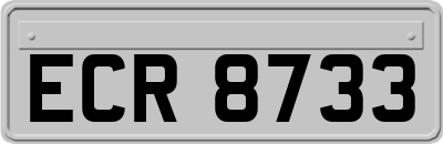 ECR8733