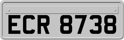ECR8738