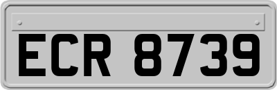 ECR8739