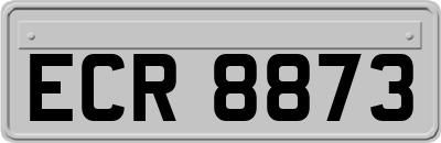 ECR8873
