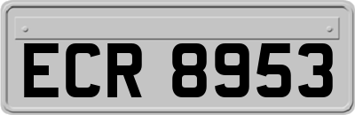ECR8953