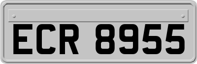 ECR8955