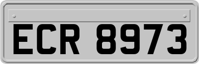 ECR8973