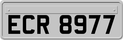 ECR8977