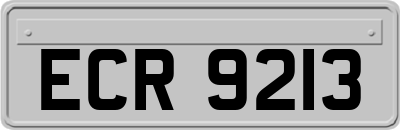 ECR9213