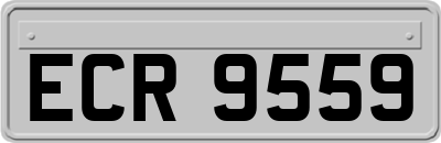 ECR9559