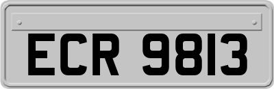 ECR9813