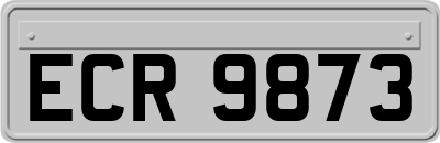 ECR9873