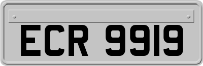 ECR9919