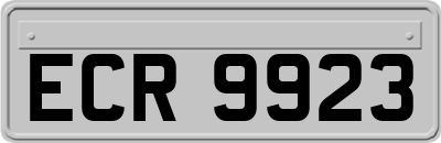 ECR9923