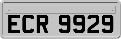 ECR9929
