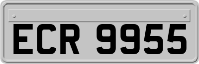 ECR9955