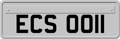 ECS0011