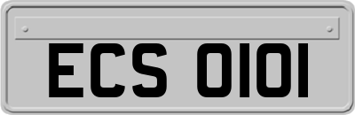 ECS0101