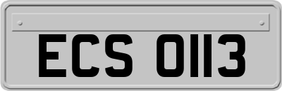 ECS0113