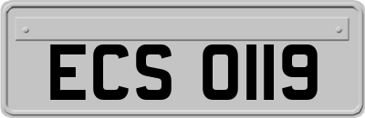 ECS0119
