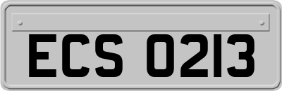 ECS0213