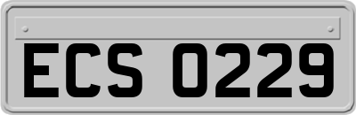 ECS0229