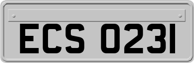 ECS0231