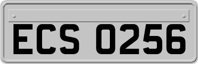 ECS0256