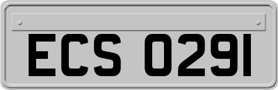 ECS0291