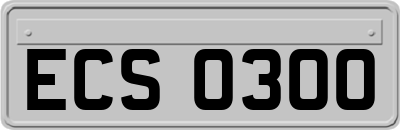 ECS0300