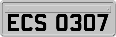 ECS0307