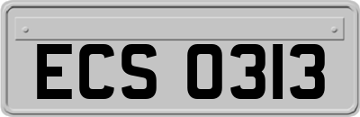 ECS0313