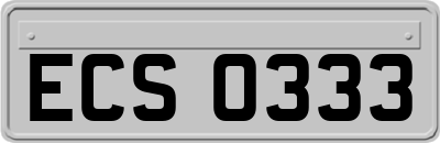 ECS0333